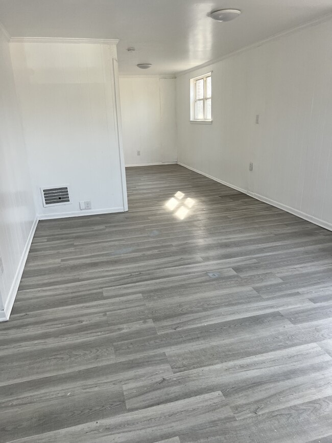 51 Madison Dr in Newark, DE - Building Photo - Building Photo