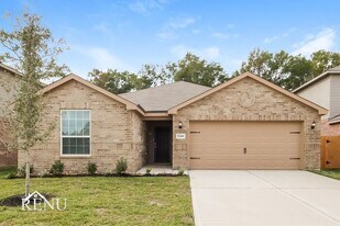10414 Sweetwater Creek Dr in Cleveland, TX - Building Photo