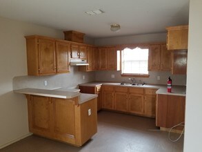 1411 Tierra Del Sol Ave in Alamo, TX - Building Photo - Building Photo