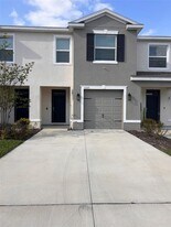 31325 Midnight Sun Wy in Wesley Chapel, FL - Building Photo