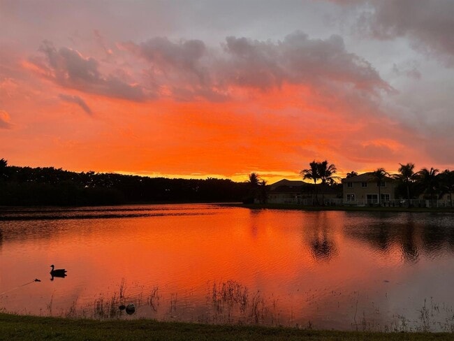920 Savannah Falls Dr in Weston, FL - Building Photo - Building Photo