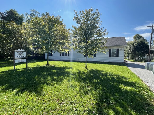 Big Tree Apartments in Livonia, NY - Building Photo - Building Photo