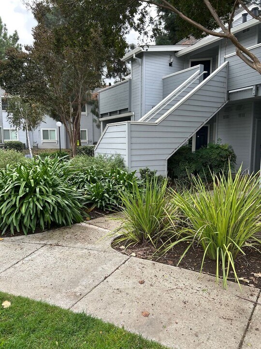 474 Shadowgraph Dr in San Jose, CA - Building Photo