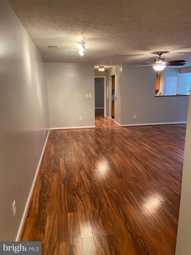 705 Harvest Run Dr in Odenton, MD - Building Photo - Building Photo