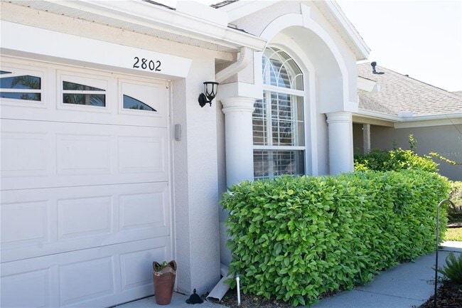 2802 Torrance Dr in Land O Lakes, FL - Building Photo - Building Photo