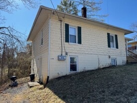 215 N Lewis St in Lexington, VA - Building Photo