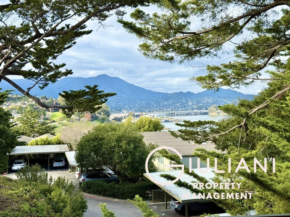 347 Eden Roc Dr in Sausalito, CA - Building Photo