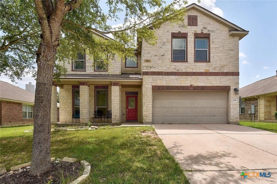 245 Buckingham Dr in Kyle, TX - Building Photo