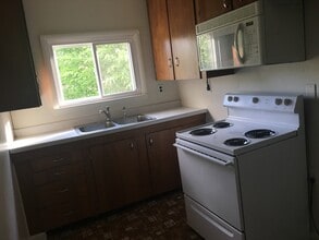 210 S Fancher Ave, Unit 210 S. Fancher in Mt. Pleasant, MI - Building Photo - Building Photo