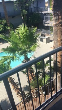 Remodeled Pool & BBQ Areas - Urban 188 Apartments in Phoenix, Arizona