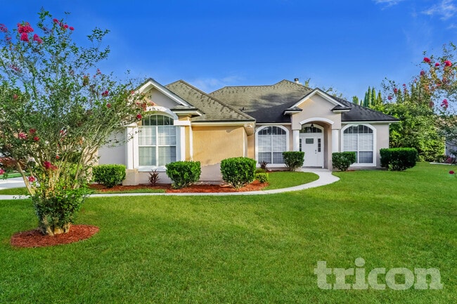property at 843 Magic Cove Ln