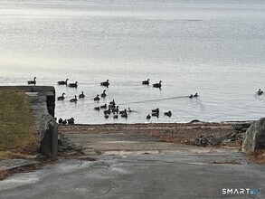 71 Ellington Rd in Tolland, CT - Building Photo - Building Photo