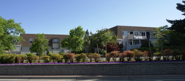 Clayton Hills in Concord, CA - Building Photo - Building Photo