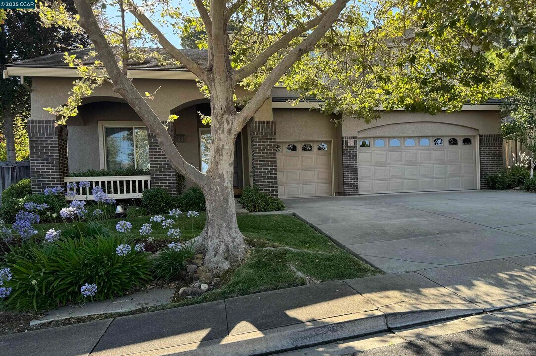 5179 Keller Ridge Dr in Clayton, CA - Building Photo