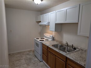 595 Dayton St in Akron, OH - Building Photo - Building Photo