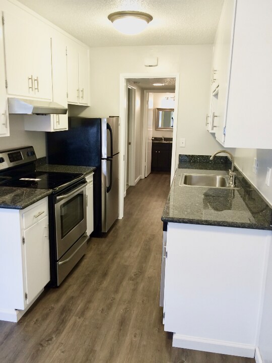 16 S Knoll Rd in Mill Valley, CA - Building Photo
