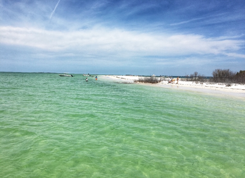 649 Windrush Bay Dr in Tarpon Springs, FL - Building Photo