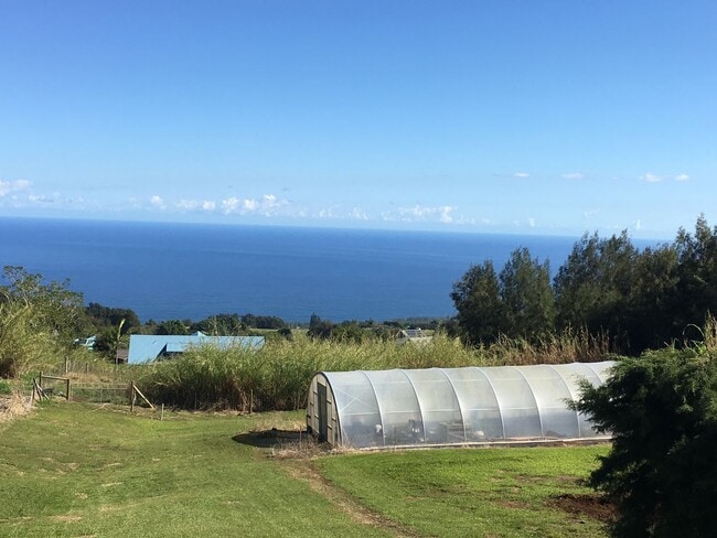 44-2554-2554 Keahua Rd in Honokaa, HI - Building Photo - Building Photo