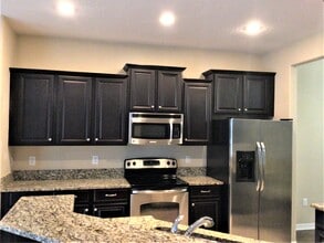 20506 Carolina Cherry Ct in Tampa, FL - Foto de edificio - Building Photo