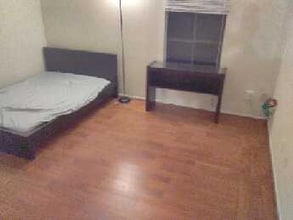 10601 South Dr in Houston, TX - Building Photo - Building Photo