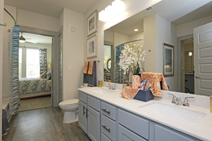 The Bridge at Heritage Creekside in Plano, TX - Building Photo - Interior Photo