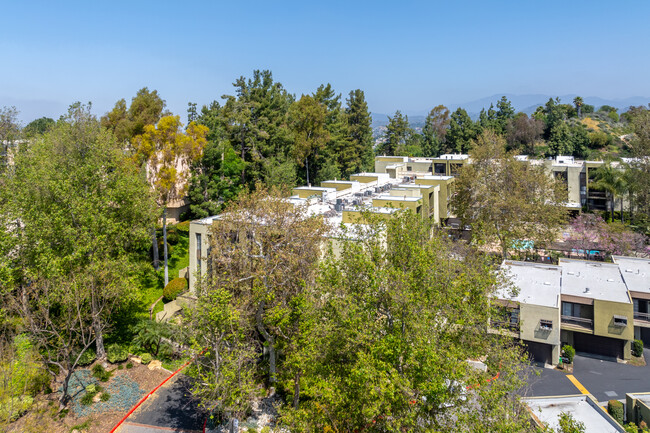 Temple Terrace in Los Angeles, CA - Foto de edificio - Building Photo