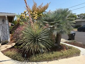 4354 Mount Castle Ave in San Diego, CA - Building Photo - Building Photo