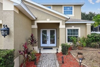 6153 Everlasting Pl in Land O Lakes, FL - Building Photo - Building Photo