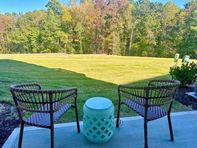 property at 1015 Falling Rock Pl