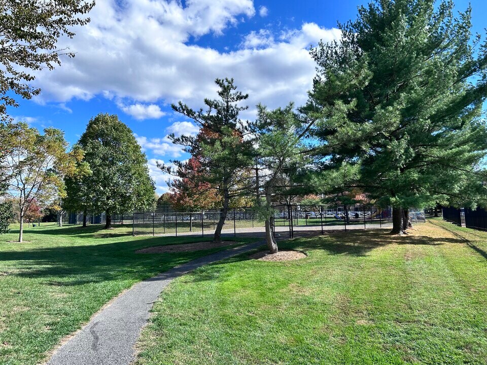 15101 Callohan Ct in Silver Spring, MD - Building Photo