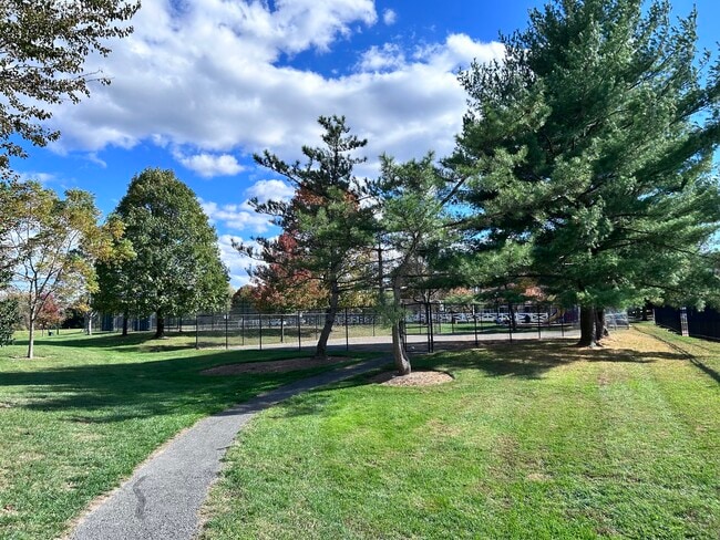 property at 15101 Callohan Ct