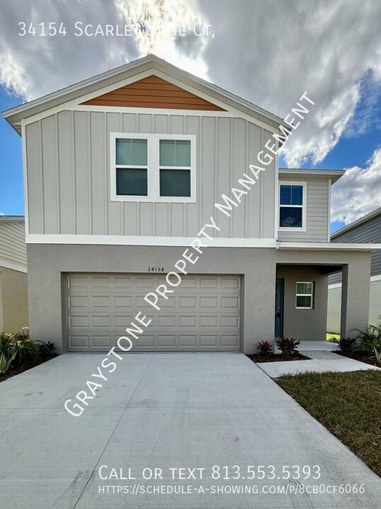 34154 Scarlet Sage Ct in Wesley Chapel, FL - Building Photo