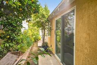 2431 S Catalina St in Los Angeles, CA - Building Photo - Building Photo