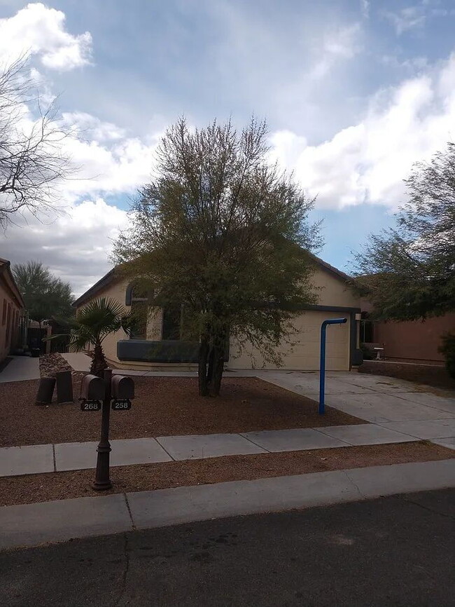 property at 258 E Camino Limon Verde
