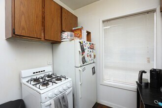 3032 N Halsted St in Chicago, IL - Building Photo - Building Photo