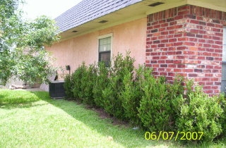 121 Las Palmas in San Benito, TX - Building Photo - Other