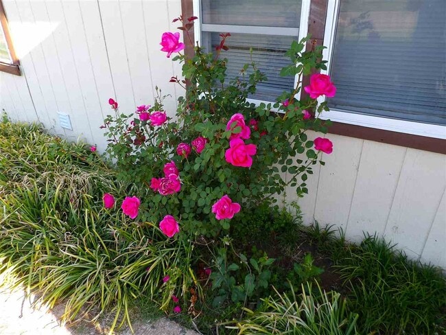 2015 SW Jefferson Ave in Lawton, OK - Building Photo - Building Photo