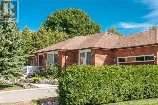 property at 19 Schomberg Rd