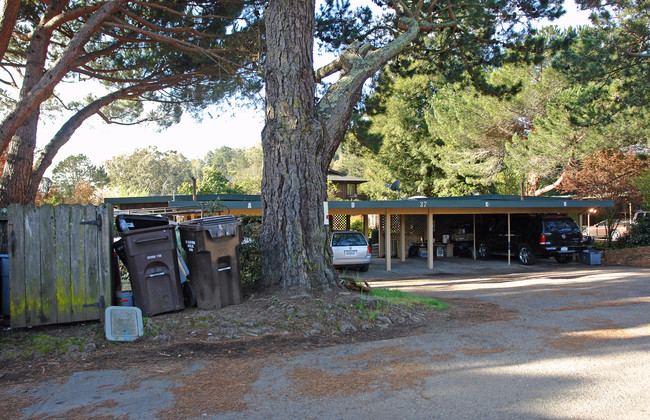 37 Valley Rd in Mill Valley, CA - Foto de edificio - Building Photo