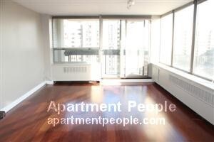 1355 N Sandburg Terrace-Unit -1202 in Chicago, IL - Building Photo