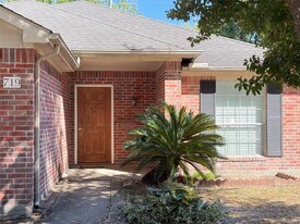 719 Willow W Dr in Houston, TX - Building Photo