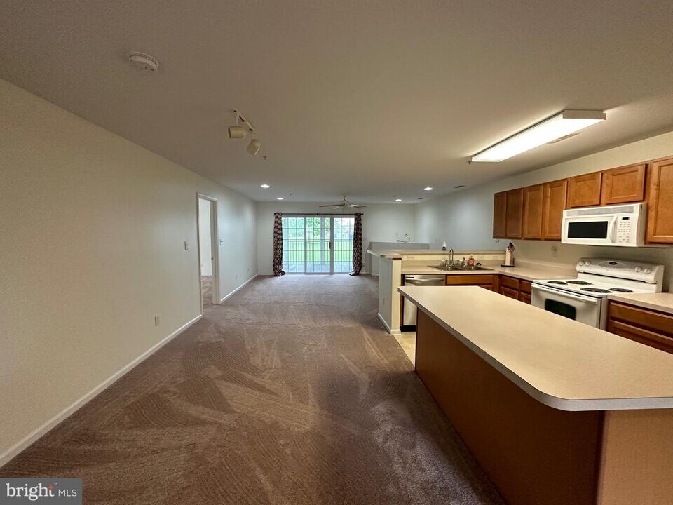 1101 Caitlins Way in Millsboro, DE - Building Photo