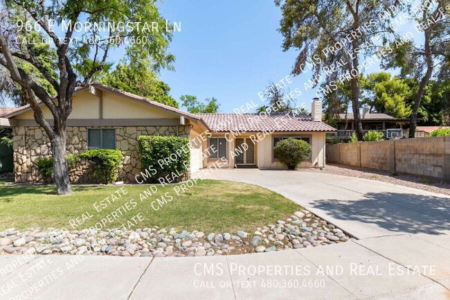 property at 966 E Morningstar Ln