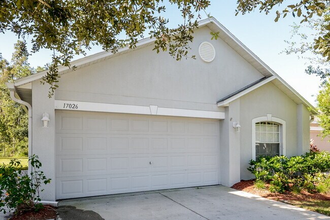 17026 Ongar Ct in Land O Lakes, FL - Foto de edificio - Building Photo
