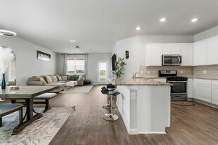 212 Apache Plum Dr in Kyle, TX - Building Photo