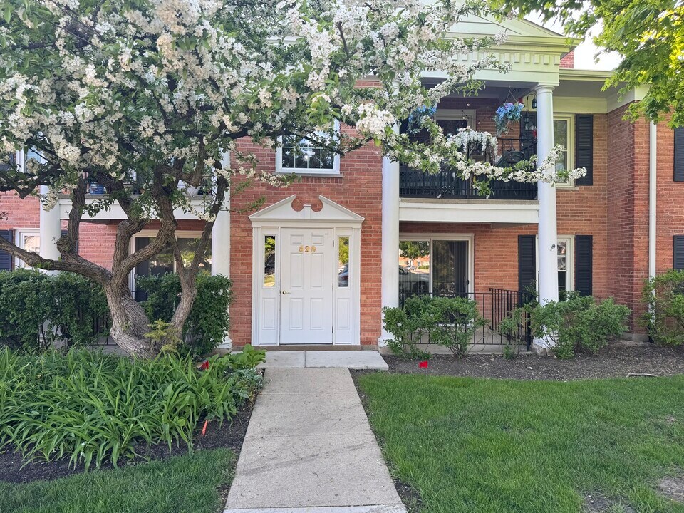 520 Shorely Dr in Barrington, IL - Building Photo