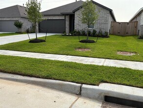 6847 Harvest Wheat Ln in Katy, TX - Building Photo - Building Photo