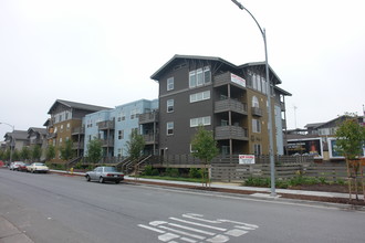 Cinnabar Commons in San Jose, CA - Building Photo - Building Photo