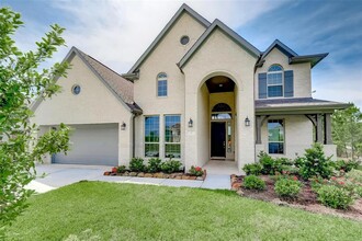 2 Winter Thicket Pl in Tomball, TX - Building Photo - Building Photo