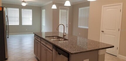 18701 Noble Caspian Dr in Lutz, FL - Building Photo - Building Photo
